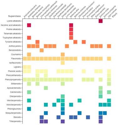 Fermented beverages in prehispanic Chile: a comprehensive review of their phytochemistry, traditional medicinal uses, bioactivity, and social aspects